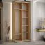 Kleiderschrank Tharo mit Schiebetüren in Eiche/Schwarz gehalten, viel Stauraum, auch für Wohnzimmer geeignet, Anti Staubbürsten, 235,2 x 120 x 45 cm