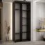 Kleiderschrank Tharo in Schwarz mit Schiebetüren, 235,2 x 100 x 45 cm, Anti Staubbürsten, auch für Wohnzimmer geeignet, viel Stauraum, Schwarze Metallgriffe