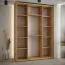 Kleiderschrank Tharo mit Schiebetüren in Eiche/Schwarz gehalten, viel Stauraum, auch für Wohnzimmer geeignet, Anti Staubbürsten, 235,2 x 180 x 45 cm