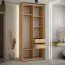 Kleiderschrank Tharo mit Schiebetüren in Weiß/Schwarz gehalten, moderne Optik, auch für Wohnzimmer geeignet, Anti Staubbürsten, 235,2 x 110 x 45 cm, robust