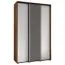 Schiebetürenschrank Tharo, viel Stauraum, auch für Wohnzimmer geeignet, Metallgriff in schwarz, Anti Staubbürsten, platzsparend, 235,2 x 160 x 45 cm