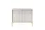Moderne Kommode mit zwei Schubladen Worthing 51, Farbe: Grau / Gold - Abmessungen: 83 x 104 x 39 cm (H x B x T)