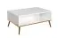 Couchtisch Roanoke 08, Farbe: Weiß / Weiß Glanz - Abmessungen: 90 x 60 x 42 cm (B x T x H)