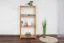 Regal Kiefer massiv Vollholz Erlefarben Junco 56C - 125 x 60 x 30 cm (H x B x T)