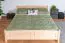 Holzbett Bettgestell Buche 160 x 200 cm Natur