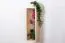 Bücherregal - 25 cm breit, Kiefer Holz-Massiv, Farbe: Natur