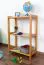 Regal Kiefer massiv Vollholz Erlefarben Junco 57C - 60 x 30 x 86 cm (B x T x H)
