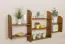 Regal - 150 cm breit, Kiefer Holz-Massiv, Farbe: Eiche Abbildung