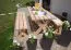 Rustikaler Gartentisch Lisianthus, aus Massivholz, Lärche natur, 75 x 178 x 76 cm, stabiler Holztisch, langlebig, robust