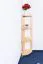 Eckregal 30 40