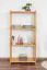 Regal Kiefer massiv Vollholz Erlefarben Junco 56C - 125 x 60 x 30 cm (H x B x T)