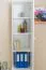 Schrank Kiefer 42 tief