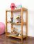 Regal Kiefer massiv Vollholz Erlefarben Junco 57C - 60 x 30 x 86 cm (B x T x H)