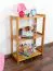 Regal Kiefer massiv Vollholz Erlefarben Junco 57C - 60 x 30 x 86 cm (B x T x H)