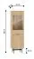Vitrine | 1 Glastür | Farbe: Eiche Mavelie | 5 Fächer | 54 x 40 x 190 cm | Soft-Close Funktion | für Wohnzimmer| Push-to-open Funktion