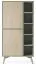 Modernes Regal mit genügend Stauraum Crewe 05, Farbe: Eukalyptus / Eiche - Abmessungen: 160 x 80 x 38 cm (H x B x T)