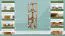 Regal / Eckregal Kiefer massiv Vollholz Erlefarben Junco 61 - Abmessungen: 125 x 40 x 30 cm (H x B x T)