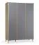 Kleiderschrank | Farbe: Graphit | 3 Türen | Drehtürenschrank | inkl. LED-Beleuchtung | Maße: 140 x 60 x 204 cm | 2 Schubladen | 6 Fächer | 1 Kleiderstange